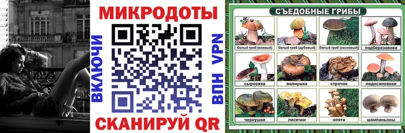 Галлюциногенные грибы Cubensis как найти закладки Курчатов